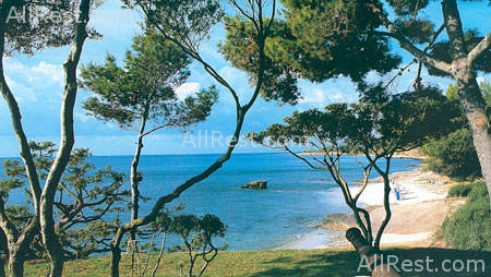 Is Morus Relais 35